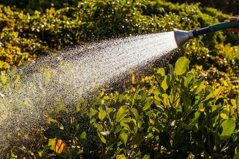 Arroser efficacement son jardin