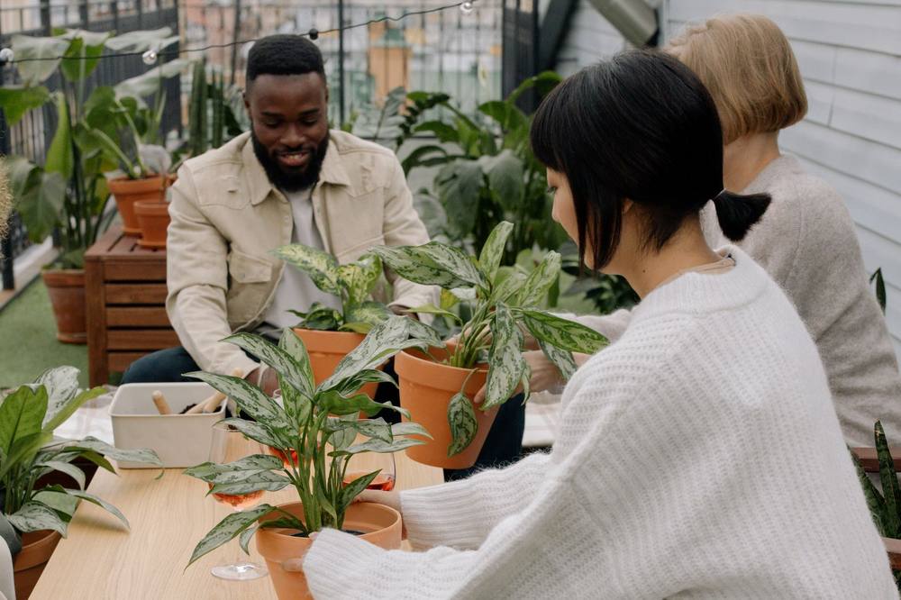 L'équipe Home Alliance Green sur le terrain